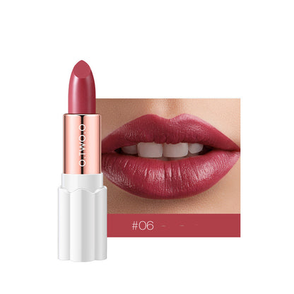 ملمع شفاه مطفي بلون البرقوق