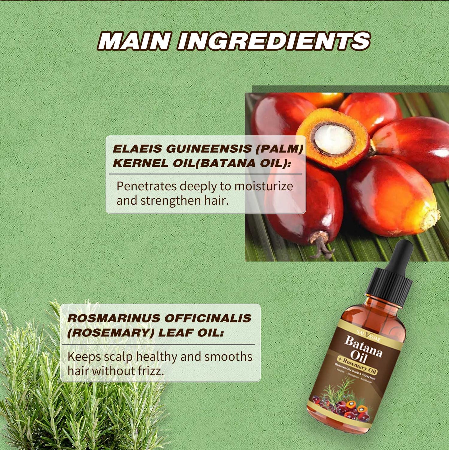 Batan Oil, Rosemary Oil