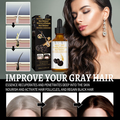 Hair Care Moisturizing