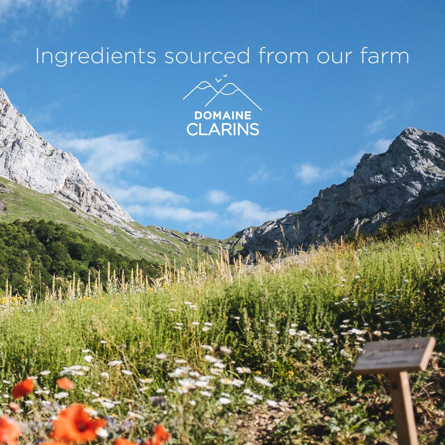 Clarins Hydrating Gentle Foaming Face Cleanser 125ml