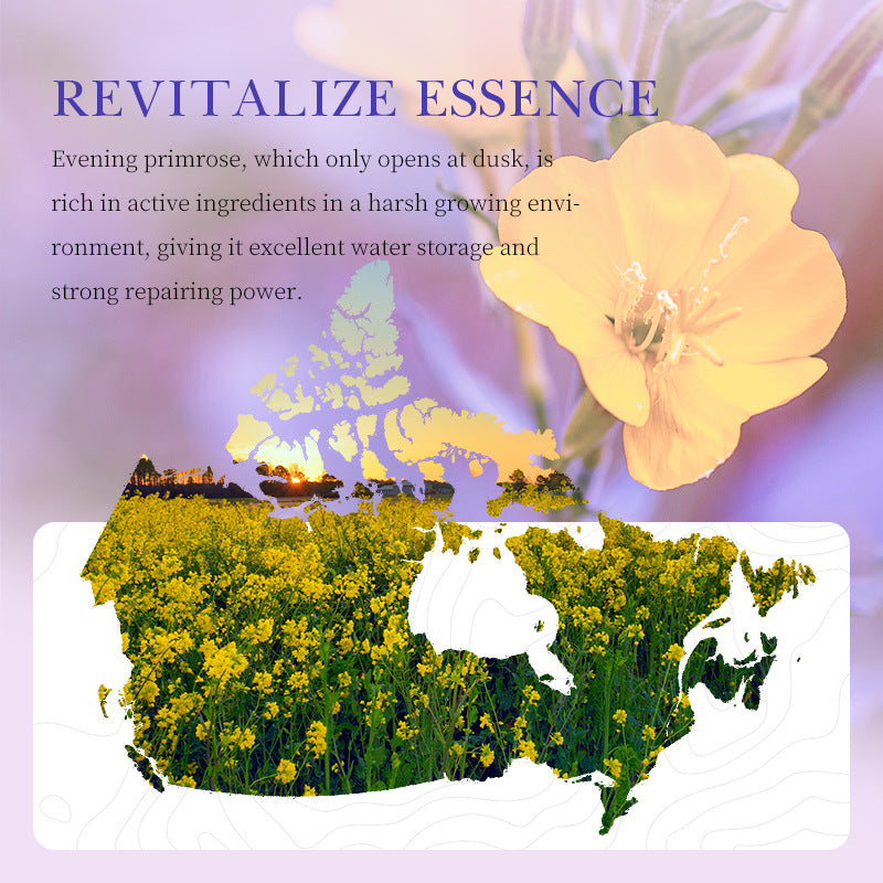 لوشن للجسم بفيتامين E من فول إنجلش